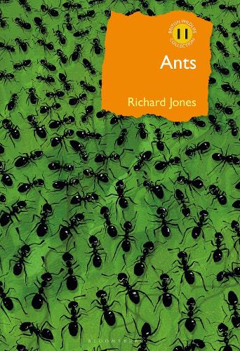 Бумажная книга «Ants: The ultimate social insects», автор Ричард Джонс - фото №1
