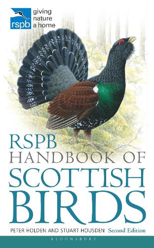 Бумажная книга «RSPB Handbook of Scottish Birds», авторов Питер Холден, Стюарт Хаусден - фото №1