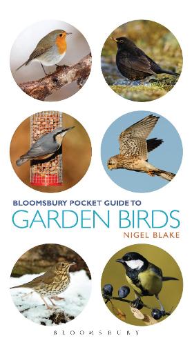 Паперова книга «Pocket Guide To Garden Birds», автор Найджел Блейк - фото №1