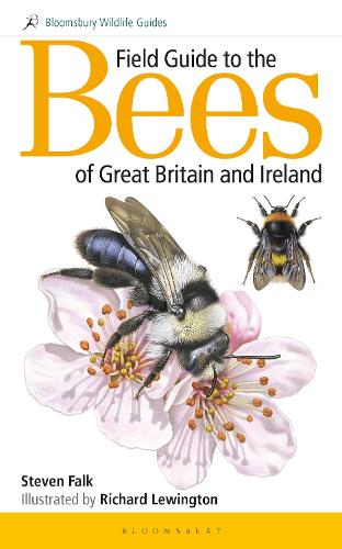 Паперова книга «Field Guide to the Bees of Great Britain and Ireland», автор Стівен Фальк - фото №1