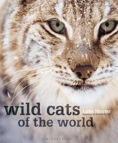 Паперова книга «Wild Cats of the World», автор Люк Хантер - фото №1