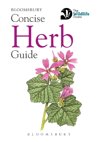 Бумажная книга «Concise Herb Guide», автор Bloomsbury - фото №1