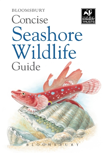 Паперова книга «Concise Seashore Wildlife Guide», автор Bloomsbury - фото №1