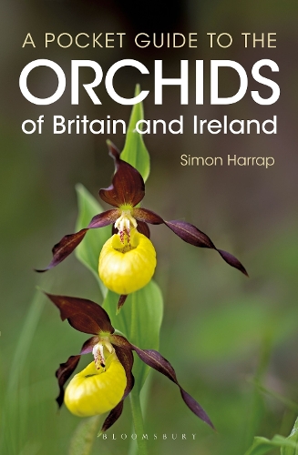 Бумажная книга «Pocket Guide to the Orchids of Britain and Ireland», автор Саймон Харрап - фото №1