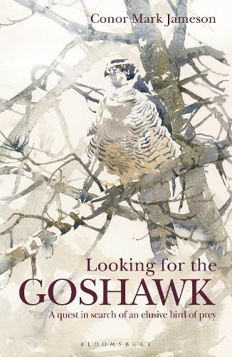 Бумажная книга «Looking for the Goshawk», автор Конор Марк Джеймсон - фото №1