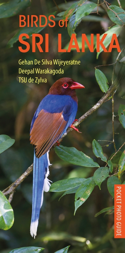 Бумажная книга «Birds of Sri Lanka», автор Гехан де Силва Виджейератне - фото №1