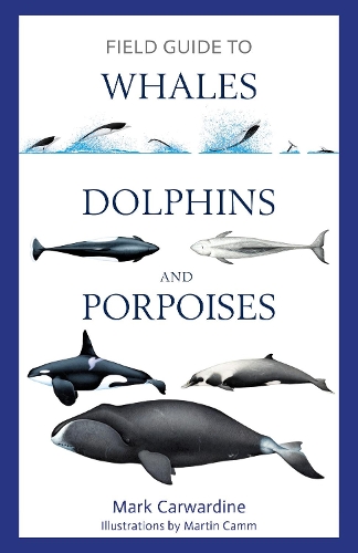Бумажная книга «Field Guide to Whales, Dolphins and Porpoises», автор Марк Карвардин - фото №1
