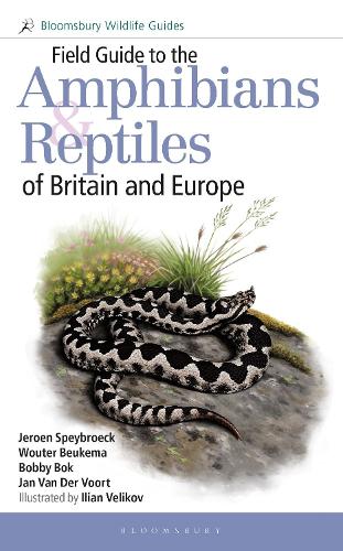 Бумажная книга «Field Guide to the Amphibians and Reptiles of Britain and Europe», авторов Бобби Бок, Ян Ван Дер Воорт, Джероен Спейброк, Ваутер Букема - фото №1