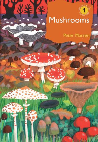 Паперова книга «Mushrooms: The natural and human world of British fungi», автор Пітер Маррен - фото №1