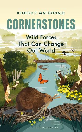 Бумажная книга «Cornerstones: Wild Forces That Can Change Our World», автор Бенедикт Макдональд - фото №1