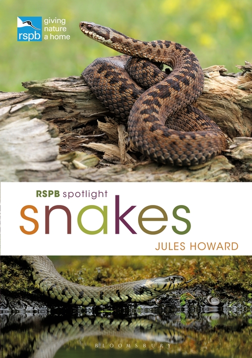 Паперова книга «RSPB Spotlight Snakes», автор Жуль Говард - фото №1