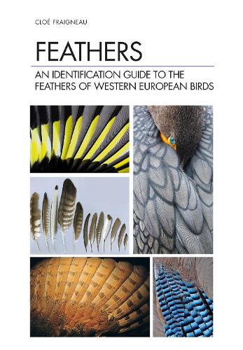 Бумажная книга «Feathers: An Identification Guide to the Feathers of Western European Birds», автор Кло Френьо - фото №1