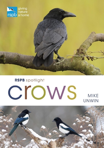 Паперова книга «RSPB Spotlight Crows», автор Майк Унвін - фото №1