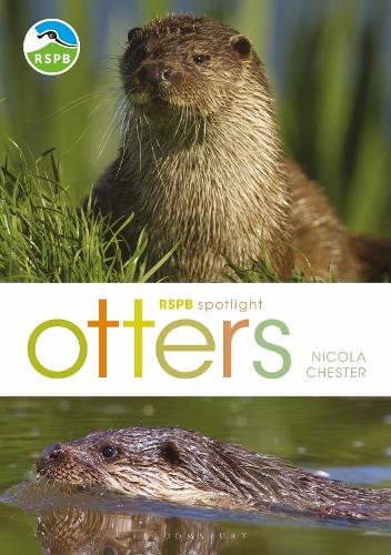 Паперова книга «RSPB Spotlight: Otters», автор Нікола Честер - фото №1