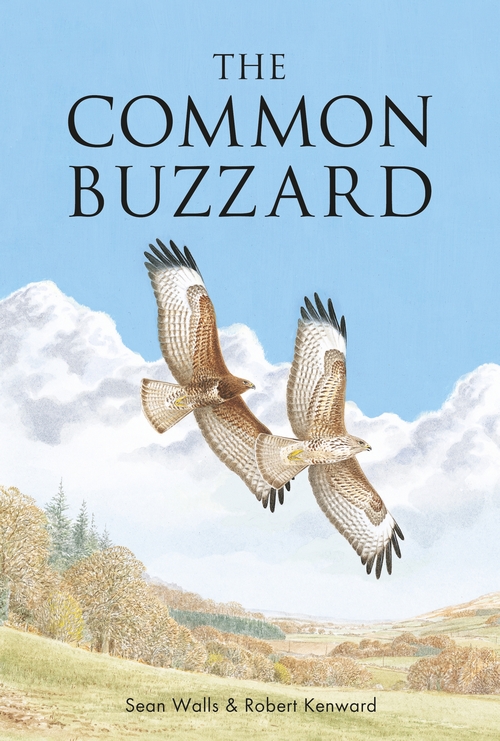 Бумажная книга «The Common Buzzard» - фото №1