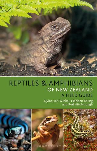 Бумажная книга «Reptiles and Amphibians of New Zealand», авторов Дилан ван Винкель, Марлин Балинг, Род Хичмау - фото №1