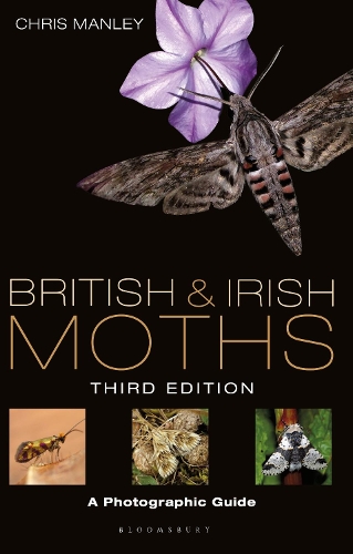 Бумажная книга «British and Irish Moths: Third Edition: A Photographic Guide», автор Крис Мэнли - фото №1
