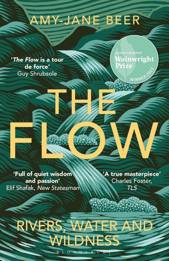 Бумажная книга «The Flow: Rivers, Water and Wildness», автор Эми-Джейн Бир - фото №1