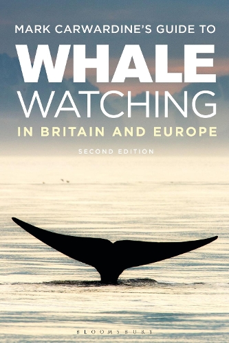 Паперова книга «Mark Carwardine's Guide To Whale Watching In Britain And Europe», автор Марк Карвардін - фото №1