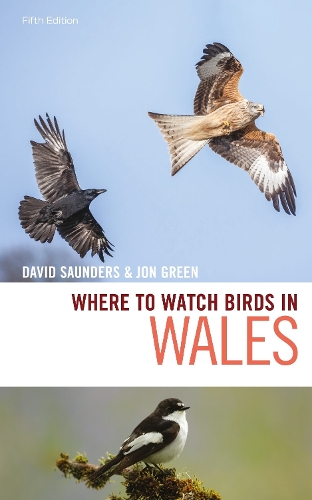 Бумажная книга «Where to Watch Birds in Wales», авторов Дэвид Сондерс, Джон Грин - фото №1