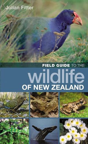 Бумажная книга «Field Guide to the Wildlife of New Zealand», автор Джулиан Фиттер - фото №1