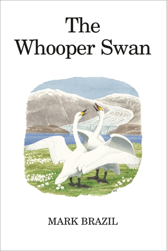 Бумажная книга «The Whooper Swan» - фото №1