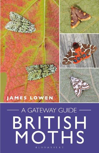 Бумажная книга «British Moths: A Gateway Guide», автор Джеймс Лоуэн - фото №1