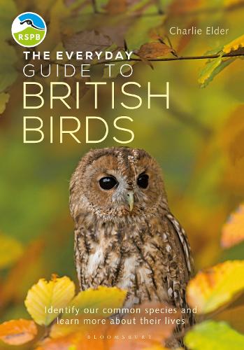 Паперова книга «The Everyday Guide to British Birds: Identify our common species and learn more about their lives», автор Чарлі Елдер - фото №1