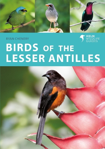 Бумажная книга «Birds of the Lesser Antilles», автор Райан Ченери - фото №1