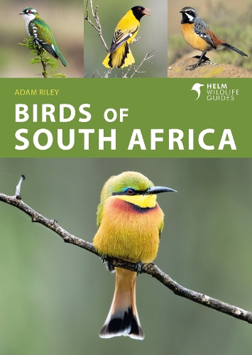 Бумажная книга «Birds of South Africa», автор Адам Райли - фото №1