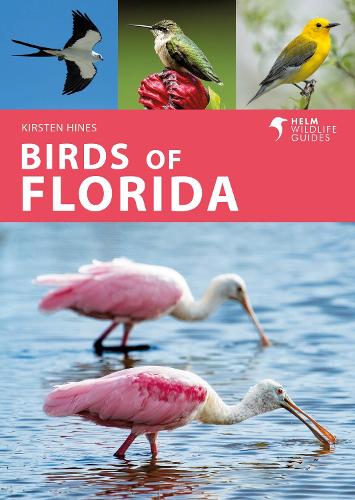 Бумажная книга «Birds of Florida», автор Кирстен Хайнс - фото №1