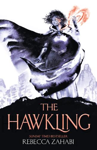 Бумажная книга «The Hawkling» - фото №1