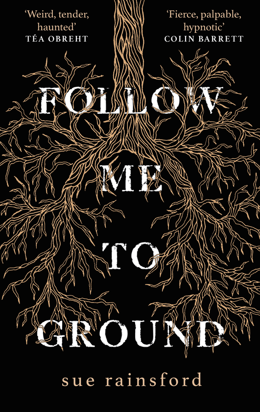 Бумажная книга «Follow Me To Ground», автор Сью Рейнсфорд - фото №1