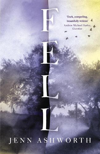 Бумажная книга «Fell», автор Дженн Эшворт - фото №1