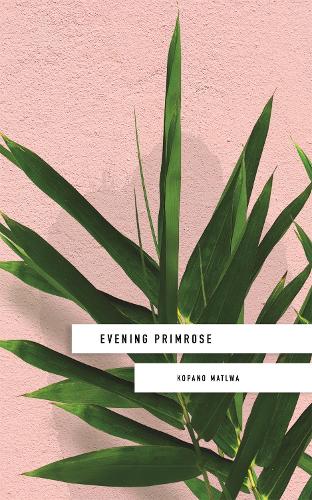 Паперова книга «Evening Primrose: a heart-wrenching novel for our times», автор Копано Матлва - фото №1