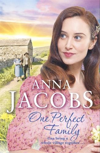 Бумажная книга «One Perfect Family: The final instalment in the uplifting Ellindale Saga», автор Анна Джейкобс - фото №1