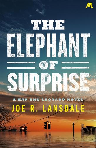 Бумажная книга «The Elephant of Surprise», автор Джо Р. Лэнсдейл - фото №1
