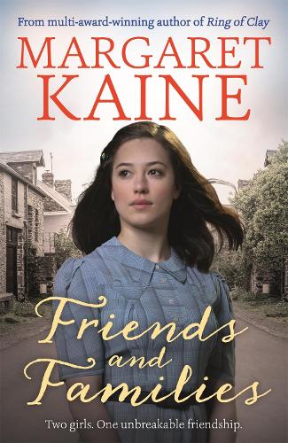 Паперова книга «Friends and Families», автор Маргарет Кейн - фото №1