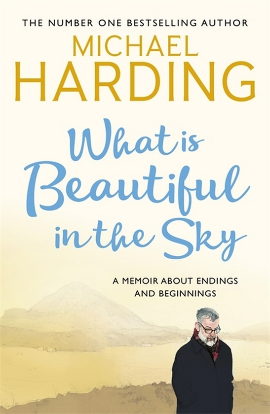Бумажная книга «What is Beautiful in the Sky », автор Майкл Хардинг - фото №1
