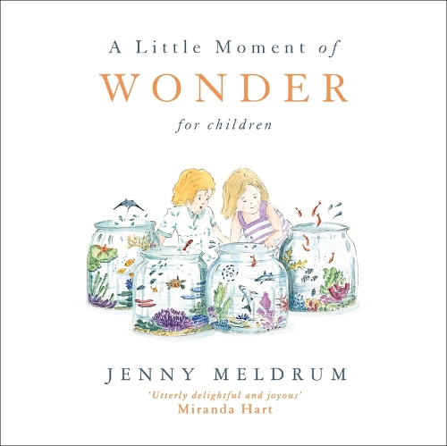 Бумажная книга «A Little Moment of Wonder for Children», автор Дженни Мелдрум - фото №1