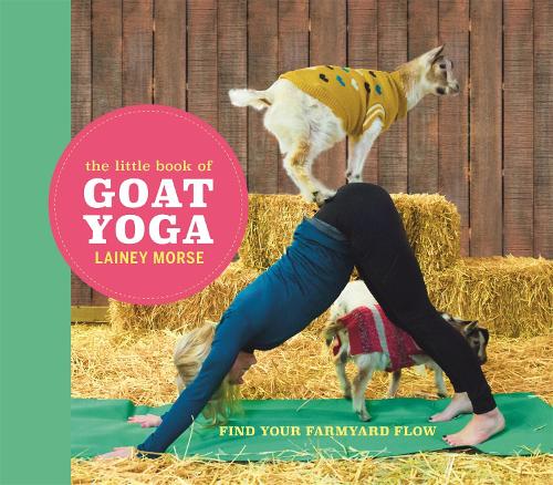 Бумажная книга «The Little Book of Goat Yoga: Find Your Farmyard Flow», автор Лейни Морс - фото №1