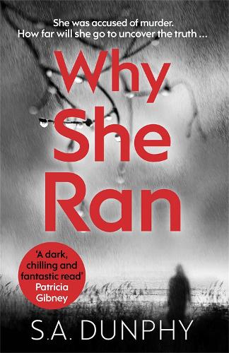 Паперова книга «Why She Ran», автор С.А. Данфі - фото №1