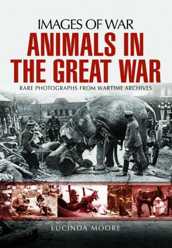 Паперова книга «Animals in the Great War», автор Люсінда Мур - фото №1