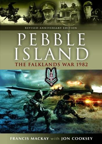 Бумажная книга «Pebble Island», авторов Фрэнсис Маккей, Джон Кукси - фото №1