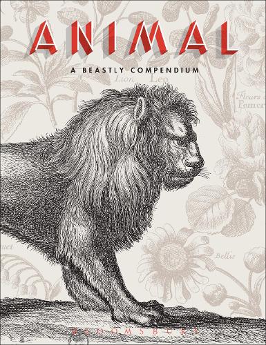 Паперова книга «Animal: A Beastly Compendium», авторів Ремі Матіс, Валері Сюр-Ермель - фото №1