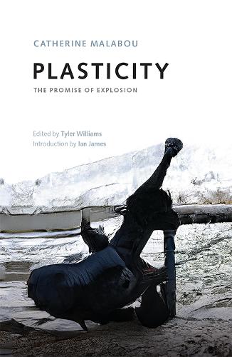 Бумажная книга «Plasticity: The Promise of Explosion», автор Катрин Малабу - фото №1
