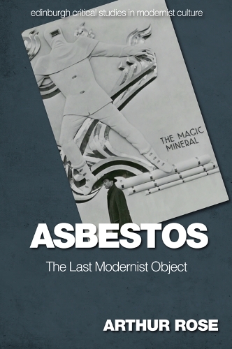 Бумажная книга «Asbestos - The Last Modernist Object», автор Артур Роуз - фото №1