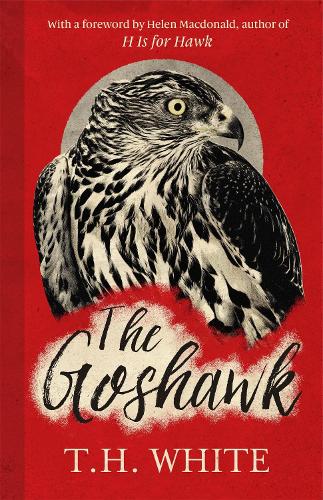 Паперова книга «The Goshawk: With a foreword by Helen Macdonald», автор Т. Г. Вайт - фото №1