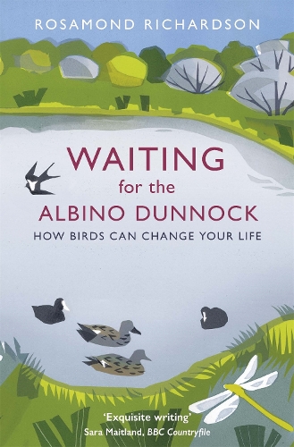 Бумажная книга «Waiting for the Albino Dunnock: How birds can change your life», автор Розамонд Ричардсон - фото №1