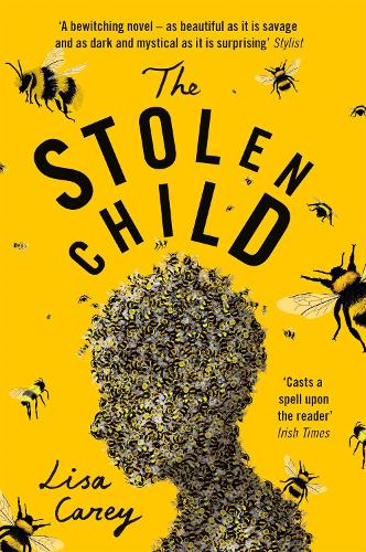 Бумажная книга «The Stolen Child», автор Лиза Кэри - фото №1